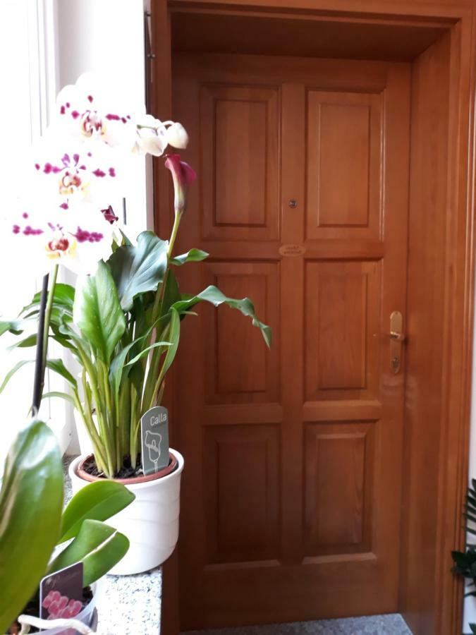 Maristela Apartment Rovinj Ngoại thất bức ảnh