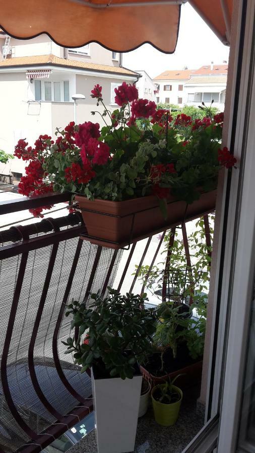Maristela Apartment Rovinj Ngoại thất bức ảnh